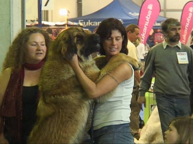 Salzburg Clubschau Mai 06 119 